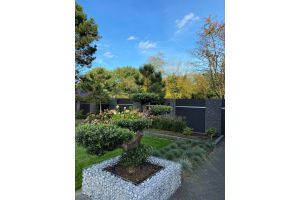 Steenkorf Olijfboom – Zakelijke toepassingen. Steenkorf Olijfboom