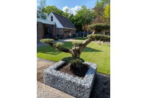 Steenkorven Plantenbak – Schanskorf bloembak. Steenkorven Plantenbak