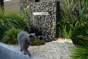 Steenkorf Waterval – Zakelijke toepassingen. Steenkorf Waterval