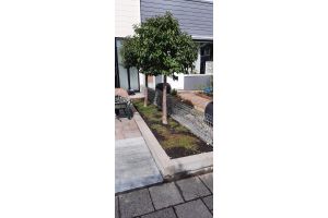 Steenkorf met Basalt Breukstenen – Schanskorven. Steenkorf met Basalt Breukstenen