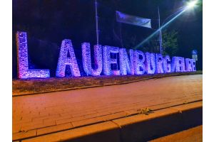 Steenkorf Logo Lautenthal – Zakelijke toepassingen. Steenkorf Logo Lautenthal