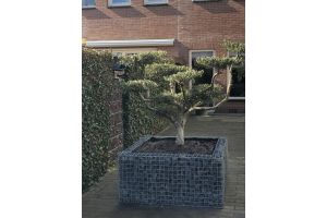 Steenkorven Plantenbak – Schanskorf bloembak. Steenkorven Plantenbak