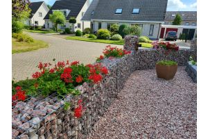 Steenkorven Steenkorven – Schanskorven. Steenkorven Steenkorven