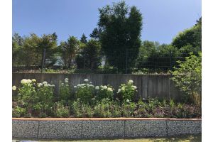 Steenkorvenbank met Ice Blue – Schanskorf tuinbanken. Steenkorvenbank met Ice Blue
