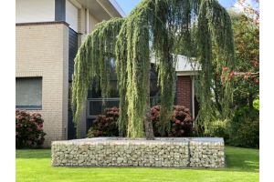 Steenkorven Plantenbak – Schanskorf bloembak. Steenkorven Plantenbak