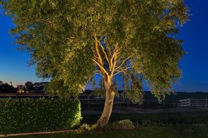 Verlichting Algemeen sfeer2 – LED verlichting. Verlichting Algemeen sfeer2
