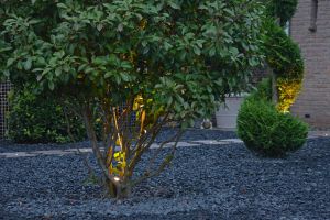 LED verlichting – LED verlichting. LED verlichting