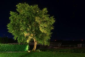 Spots Algemeen sfeer2 – LED verlichting. Spots Algemeen sfeer2