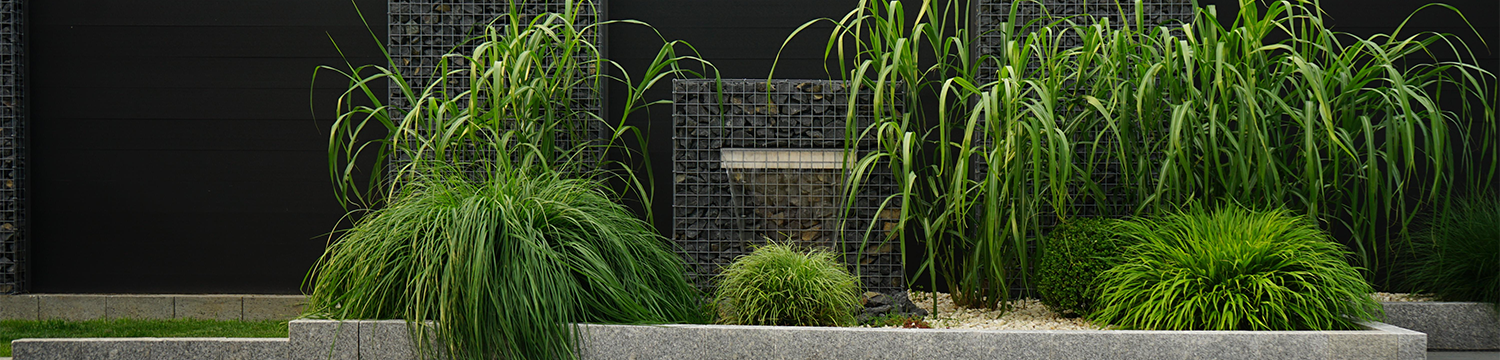 Hoe breed schanskorf