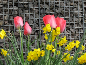 Wat kost een stenen afscheiding?