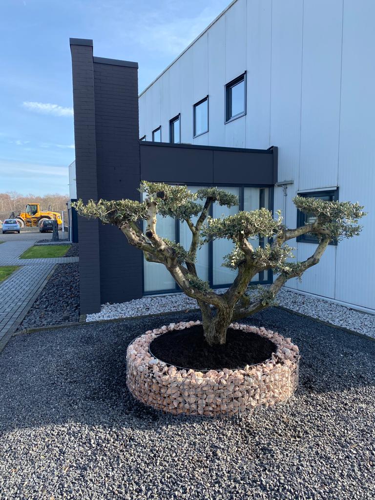 Showtuin schanskorven en tuinhaarden