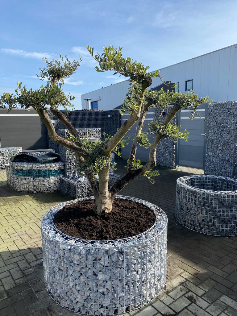 Showtuin schanskorven en tuinhaarden
